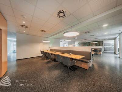 Gewerbeobjekt mieten in 2201 Gerasdorf (Bild 1)