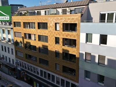 Terrassenwohnung mieten in 1100 Wien (Bild 1)