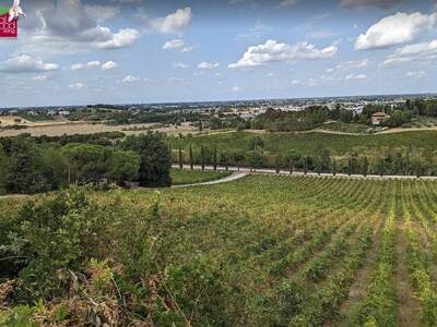 Gewerbeobjekt kaufen in 47032 Bertinoro (Bild 5)