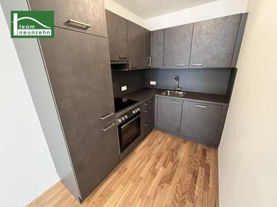 Terrassenwohnung mieten in 1100 Wien (Bild 3)