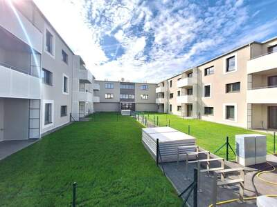 Wohnung mieten in 2020 Hollabrunn