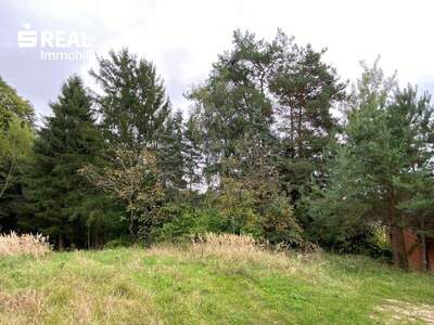 Haus kaufen in 8261 Sinabelkirchen (Bild 4)