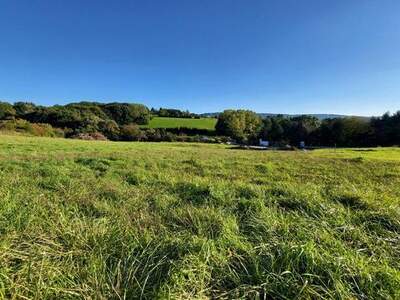 Grundstück kaufen in 3040 Neulengbach