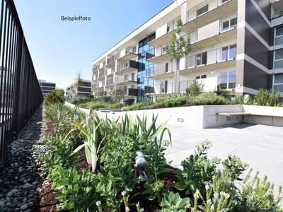 Wohnung mieten in 8055 Graz