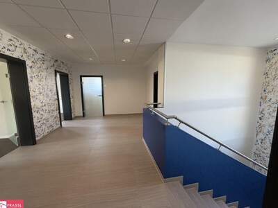 Gewerbeobjekt mieten in 8700 Leoben (Bild 2)