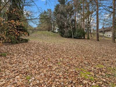 Grundstück kaufen in 2102 Hagenbrunn (Bild 4)