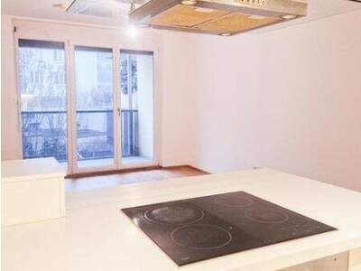 Terrassenwohnung mieten in 1210 Wien (Bild 4)