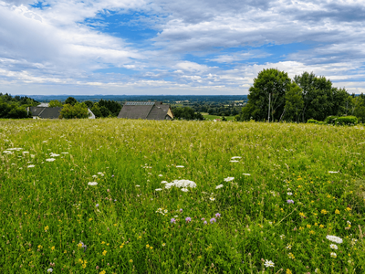 Grundstück provisionsfrei kaufen in 7574 Burgauberg