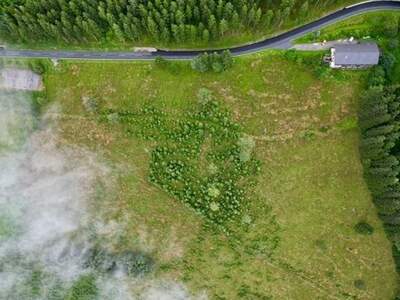 Grundstück kaufen in 9431 Kleinedling (Bild 2)