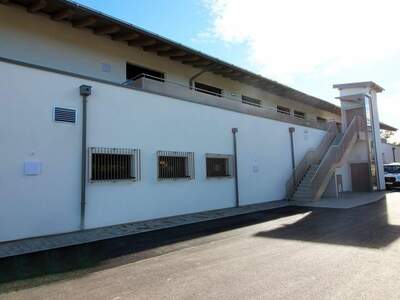 Gewerbeobjekt mieten in 5071 Wals (Bild 3)