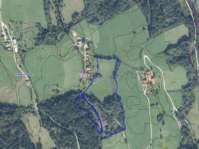 Gewerbeobjekt kaufen in 9861 Puchreit