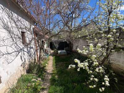 Haus mit Garten kaufen in 7091 Breitenbrunn (Bild 1)
