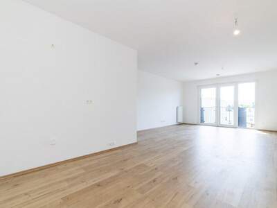 Terrassenwohnung kaufen in 2700 Wr. Neustadt (Bild 3)