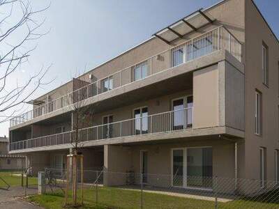 Terrassenwohnung mieten in 2231 Strasshof (Bild 3)