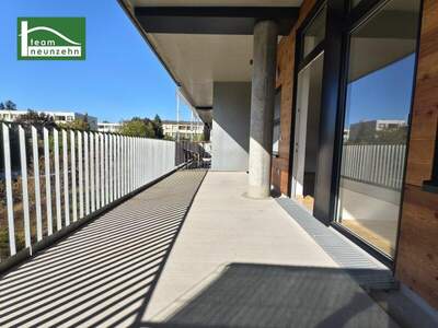 Terrassenwohnung mieten in 3100 St. Pölten (Bild 4)