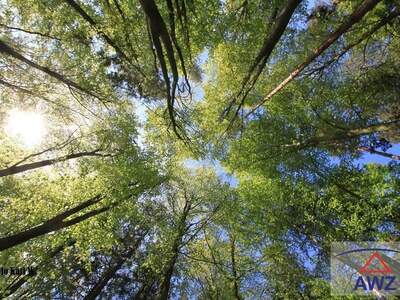 Grundstück kaufen in 5231 Schalchen