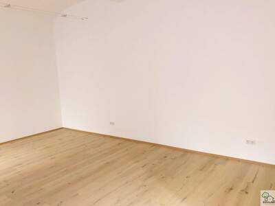 Gewerbeobjekt mieten in 1090 Wien (Bild 3)