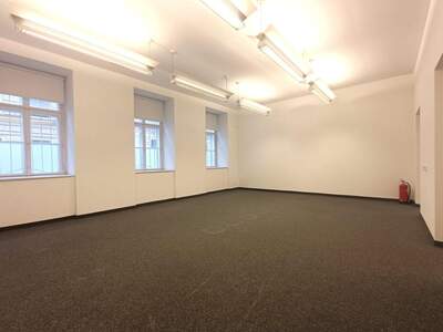 Gewerbeobjekt mieten in 1090 Wien (Bild 1)