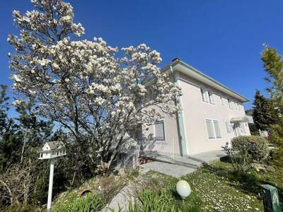 Haus kaufen in 8151 Hitzendorf (Bild 5)