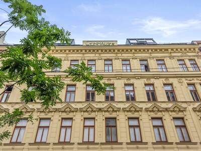 Altbauwohnung kaufen in 1180 Wien (Bild 1)