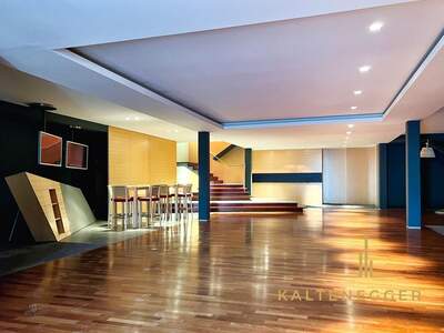 Gewerbeobjekt mieten in 1190 Wien (Bild 3)