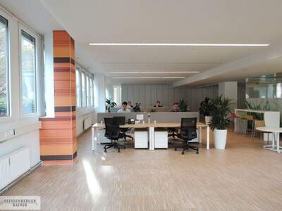 Gewerbeobjekt mieten in 1030 Wien (Bild 2)