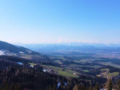 Grundstück kaufen in 9431 Wolfsberg