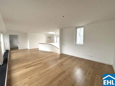 Terrassenwohnung mieten in 1010 Wien (Bild 3)