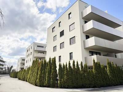 Mietwohnung in 8051 Thal