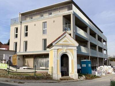 Anlageobjekt kaufen in 4492 Hofkirchen