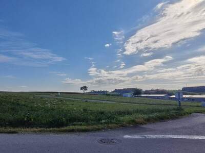 Grundstück kaufen in 4611 Buchkirchen