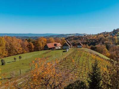 Haus kaufen in 8442 Kitzeck