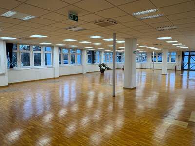 Gewerbeobjekt mieten in 4030 Linz (Bild 2)