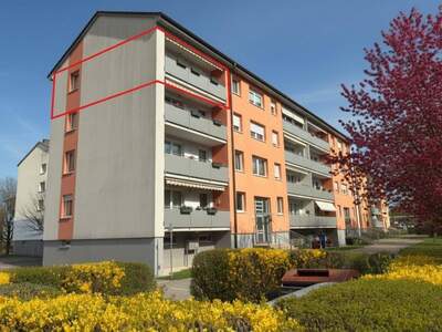 Wohnung kaufen in 3370 Ybbs