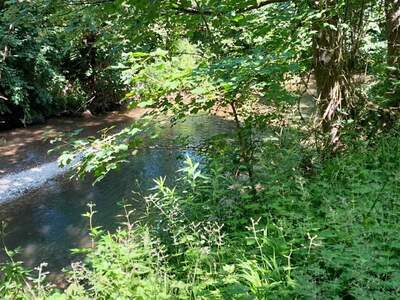 Haus kaufen in 4702 Wallern (Bild 4)
