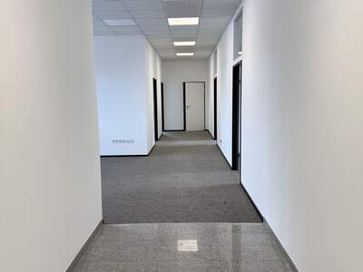 Gewerbeobjekt mieten in 8200 Gleisdorf (Bild 4)