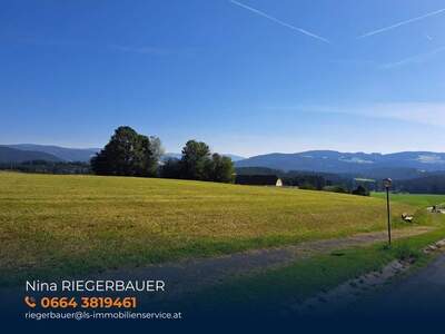 Grundstück kaufen in 8254 Wenigzell