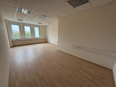 Büro / Praxis mieten in 2544 Leobersdorf (Bild 4)