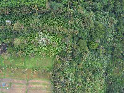 Grundstück kaufen in 80572 Puhu (Bild 3)