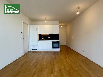 Terrassenwohnung mieten in 1100 Wien (Bild 2)