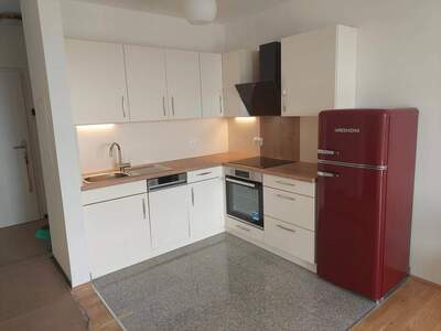 Wohnung provisionsfrei mieten in 1220 Wien