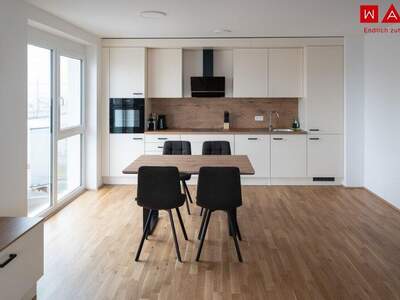 Terrassenwohnung mieten in 4020 Linz (Bild 1)