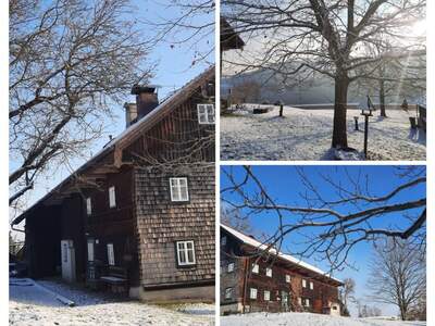 Haus kaufen in 4682 Geboltskirchen (Bild 5)