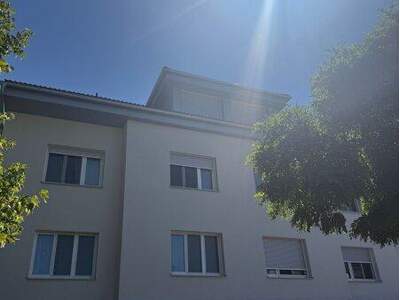 Terrassenwohnung kaufen in 4600 Thalheim (Bild 1)