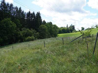 Haus mit Garten kaufen in 9231 Köstenberg (Bild 3)