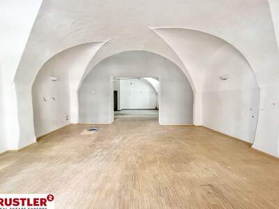 Gewerbeobjekt mieten in 2340 Mödling (Bild 2)