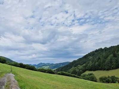 Gewerbeobjekt kaufen in 3213 Frankenfels