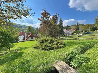 Haus kaufen in 3400 Klosterneuburg
