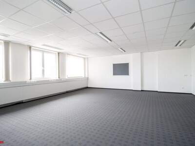 Gewerbeobjekt mieten in 4600 Thalheim (Bild 4)