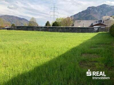 Grundstück kaufen in 4591 Molln (Bild 4)